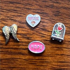 Set of four Living Locket Charms
